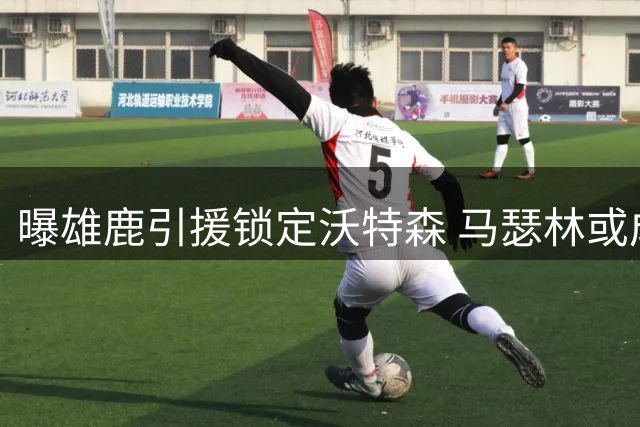 曝雄鹿引援锁定沃特森 马瑟林或成B计划